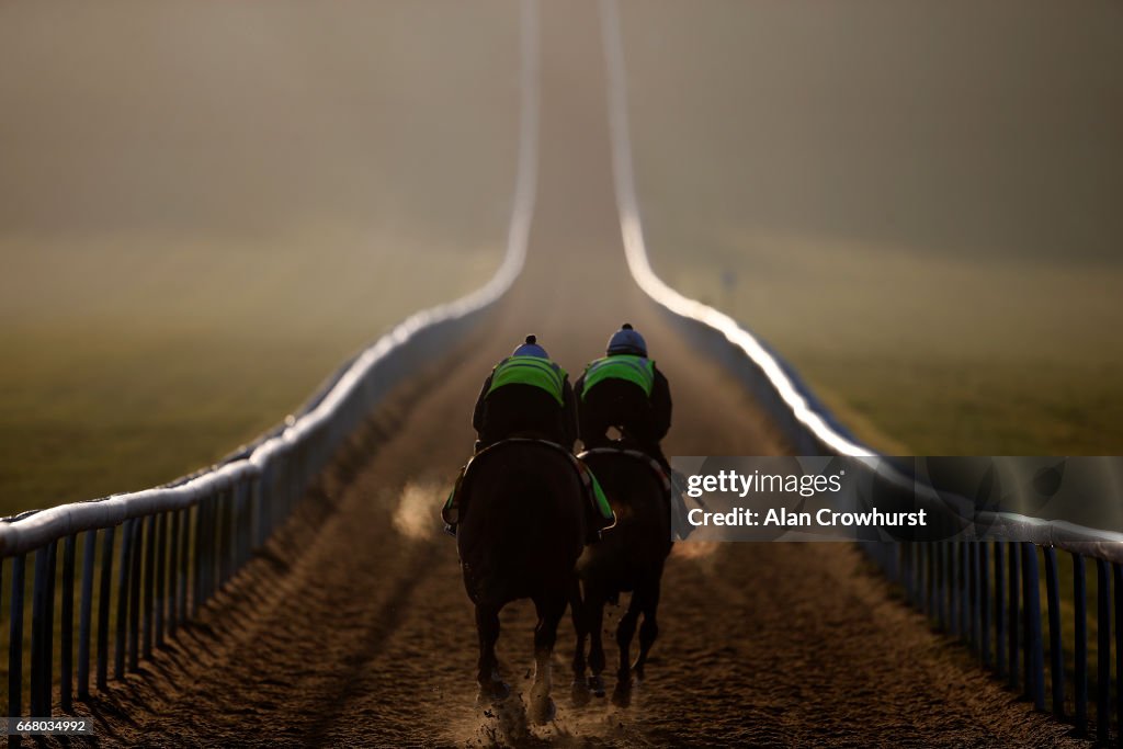 Newmarket Gallops