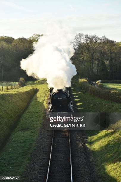 The Flying Scotsman steam locomotive makes its way from Sheffield Park station to East Grinstead on the Bluebell Railway Line in East Sussex,...