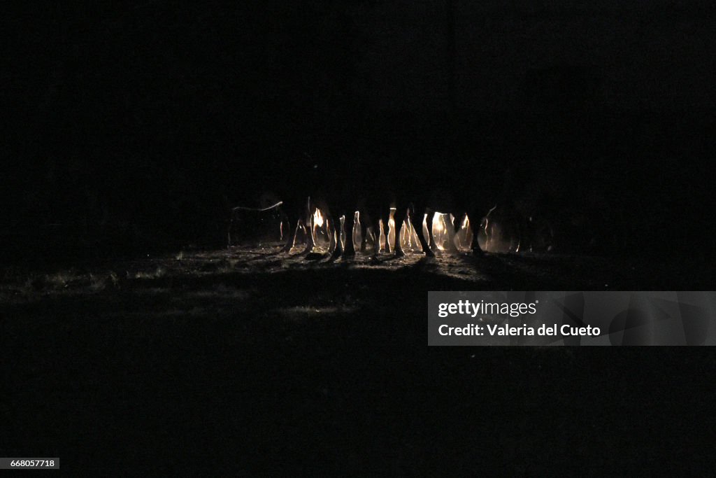 Farois iluminam as patas do gado na chegada a estâncianoite