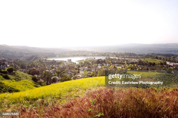 california super bloom - anaheim californië stockfoto's en -beelden