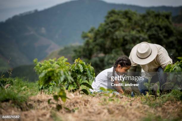 vater mit seiner tochter auf dem hof einen baum zu pflanzen - colombia stock-fotos und bilder