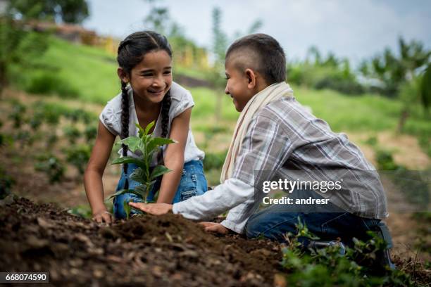 niños felices de américa latina plantando un árbol en la granja - sembrar fotografías e imágenes de stock