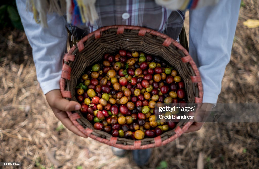 Close-up on a basket full of coffee beans