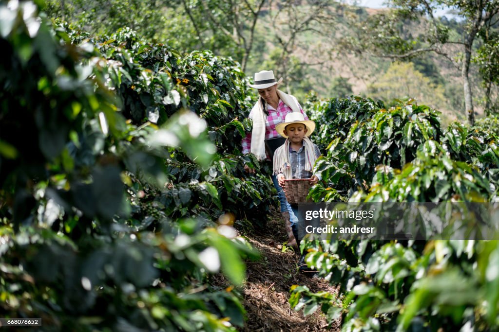 Madre e hijo recoger granos de café en una finca