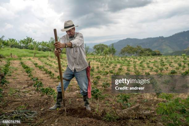 man working the land at a farm â agriculture concepts - plough stock pictures, royalty-free photos & images