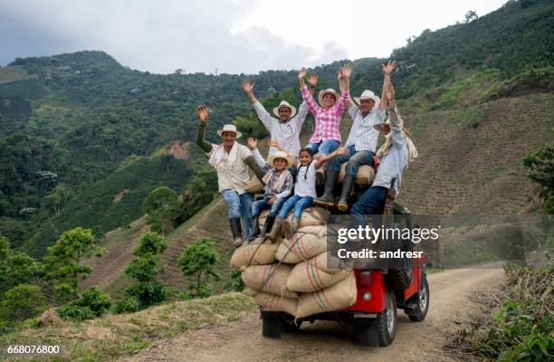 glada grupp jordbrukare transporterar kaffe på en bil - colombia bildbanksfoton och bilder