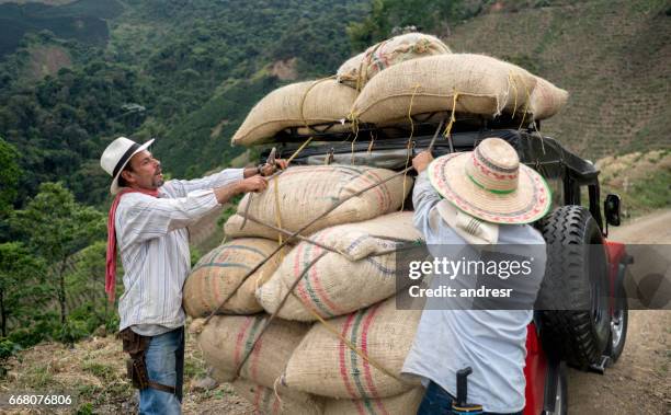 men transporting sacks of coffee in a car - sack imagens e fotografias de stock