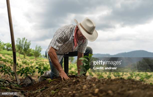 uomo che semina la terra in una fattoria - scena rurale foto e immagini stock