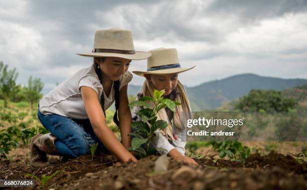 happy kids plantar árboles en una finca de café - sembrar fotografías e imágenes de stock