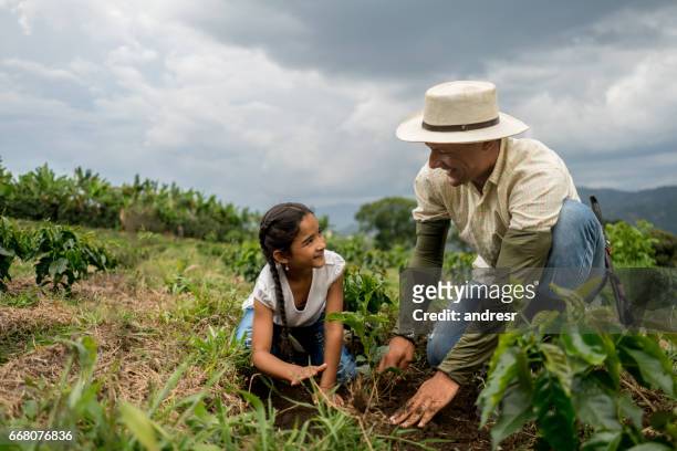 mädchen, die pflanzung eines baumes mit ihrem vater auf dem bauernhof - colombia stock-fotos und bilder