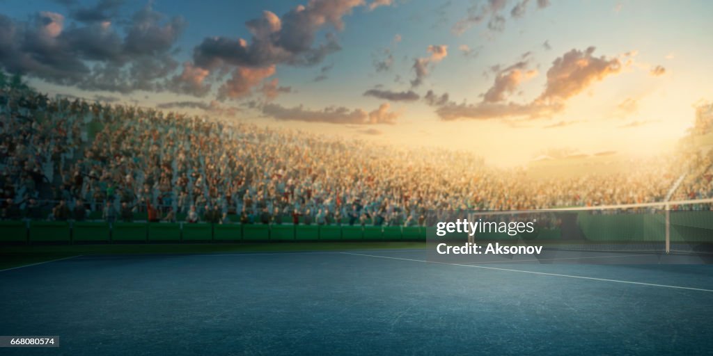 Tennis: Playing court