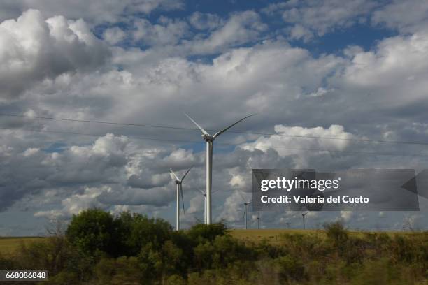 energia eólica nos campos do rio grande do sul - fronteira stockfoto's en -beelden