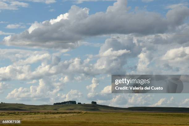 coxilha dos pampas - fronteira stockfoto's en -beelden