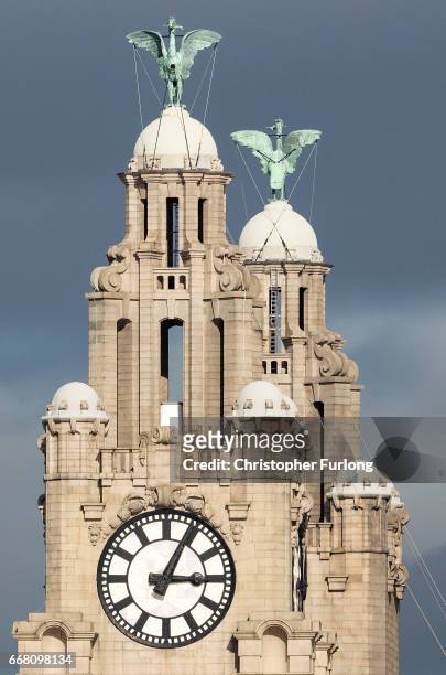 The Liver birds look out from the Royal Liver Building on March 16, 2017 in Liverpool, England. Liverpool's iconic Royal Liver Building was recently...