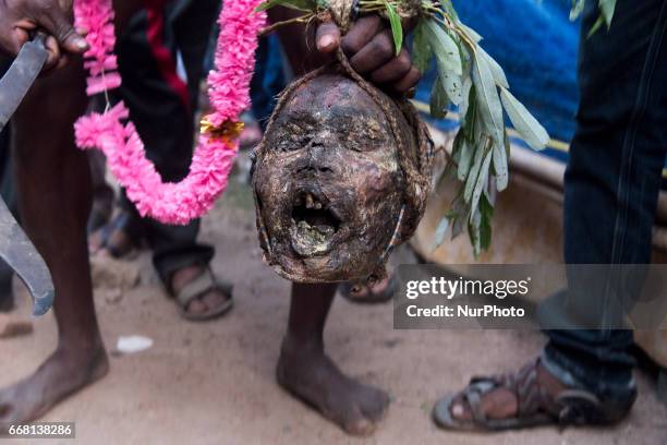 Devotee is holding a human head in his hand in Burdwan, India on 13 April 2017. &quot;Gajan&quot; is one of the prominent folk festivals of Bengal,...