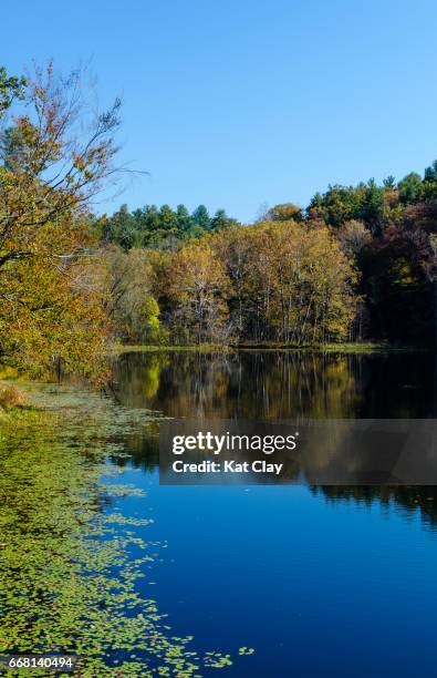 Lake Ridge Va Lake Ridge Va Photos and Premium High Res Pictures - Getty Images