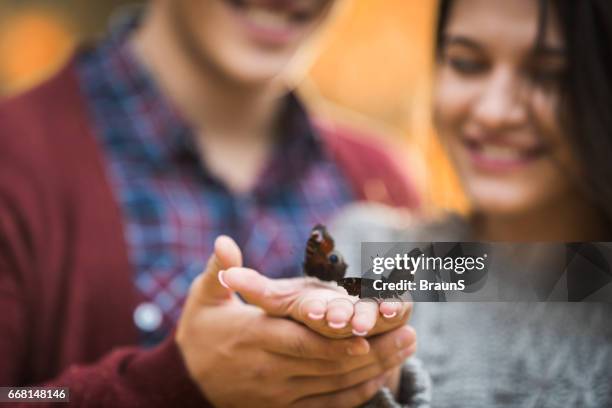 butterfly in my hand! - releasing butterfly stock pictures, royalty-free photos & images