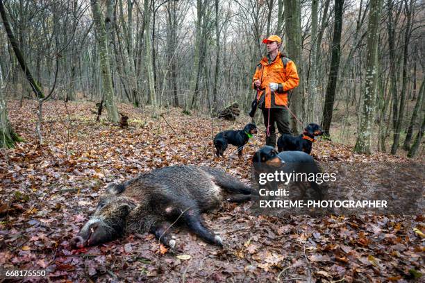 森の中でハンター - dead animal ストックフォトと画像