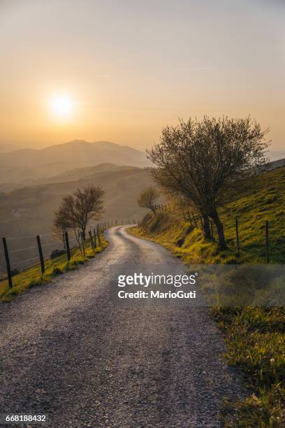 platteland weg bij zonsondergang - viaje por carretera stockfoto's en -beelden