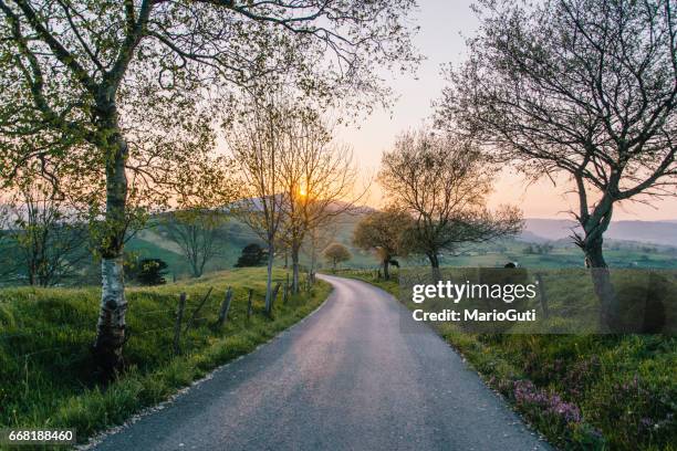countryside road at sunset - narrow stock pictures, royalty-free photos & images