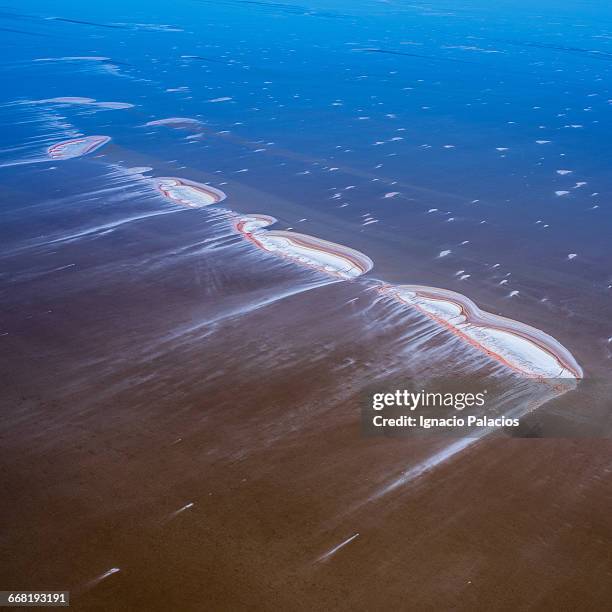 Shell Eyre Eyre Photos and Premium High Res Pictures - Getty Images
