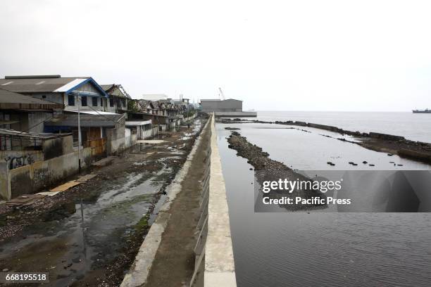 Conditions of mosques and old dikes, which were destroyed and submerged in sea water due to erosion and land subsidence in the northern coast of...