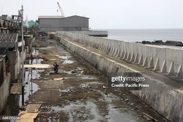 Conditions of mosques and old dikes, which were destroyed and submerged in sea water due to erosion and land subsidence in the northern coast of...