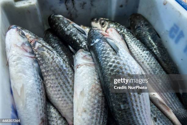 Intense movement of consumers in search of fish in the Fish Market, in Sao Paulo , Brazil, on the morning of Thursday 13 April the eve of the Good...