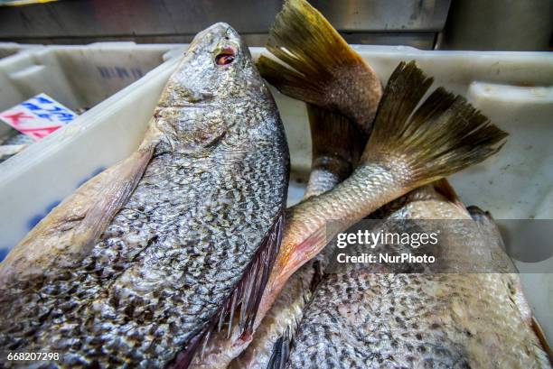Intense movement of consumers in search of fish in the Fish Market, in Sao Paulo , Brazil, on the morning of Thursday 13 April the eve of the Good...