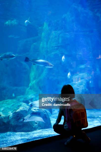 young girl looking at the fish in a big aquarium - thinktank stock pictures, royalty-free photos & images