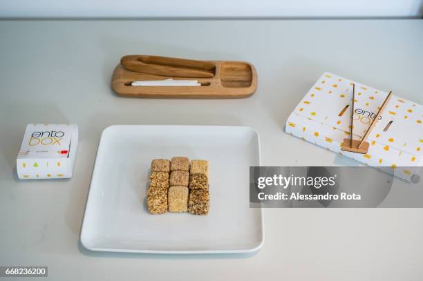 London . Eat Ento LTD is a young start-up focused on spreading the consumption of edible insects as a cource of sustainable animal proteins for the...