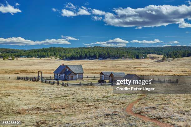 florissant fossil beds national monument, colorado, usa - fossil site stockfoto's en -beelden