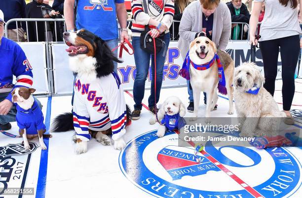King Henrik, Oscar, Skylie, Jasper and Gnarly attend MSG Network's Pup Playoffs contest at Madison Square Garden on April 13, 2017 in New York City...