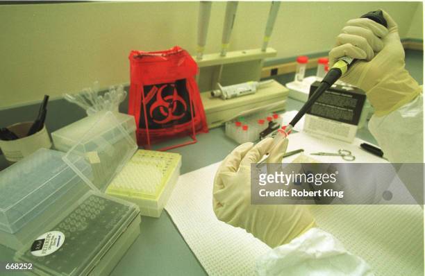 Civilian scientist working in the Broward County crime lab handles processed DNA extractions that were taken from blood samples of convicted...