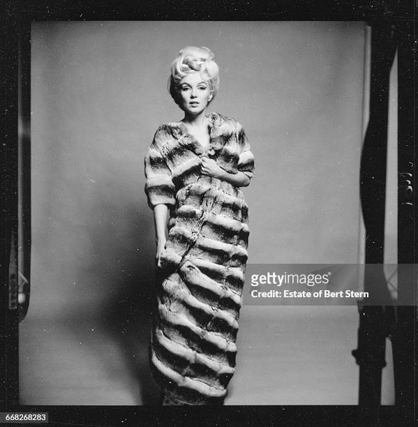 American actress Marilyn Monroe wearing a chinchilla fur coat, Beverly Hills, California, July 1962. The two sessions for the photoshoot took place...