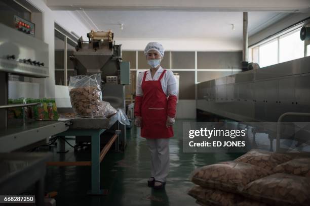 In a photo taken on April 11, 2017 Choe Ok-Ju poses for a portrait at the food factory where she works, in the eastern port city of Wonsan. / AFP...