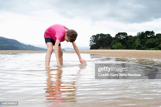 boy looking down into shallow pool at beach - boy exploring on beach stock-fotos und bilder