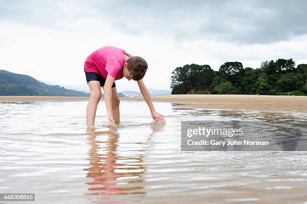 boy looking down into shallow pool at beach - boy exploring on beach stock pictures, royalty-free photos & images