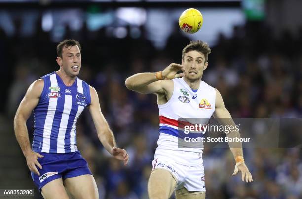 Todd Goldstein of the Kangaroos and Tom Campbell of the Bulldogs compete for the ball during the round four AFL match between the North Melbourne...