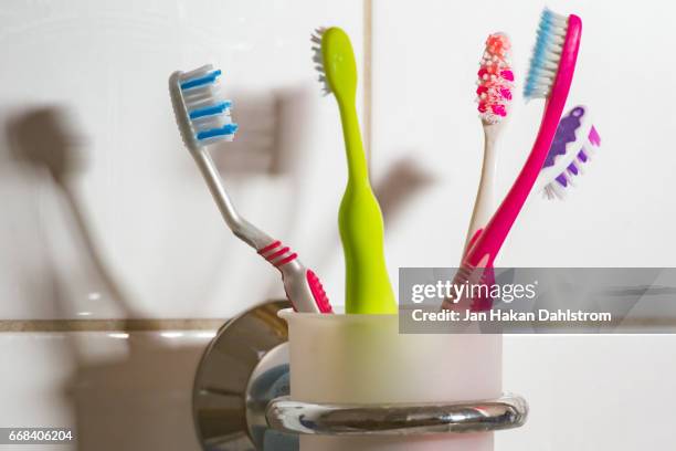 family's toothbrushes - tandborste bildbanksfoton och bilder