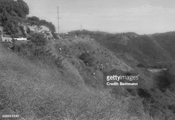 With a court order prohibiting comment on the Tate-LaBianca murders, police and explorer scouts comb a hillside off Mulholland Dr. In the Hollywood...