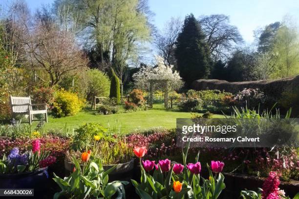 domestic english garden full of flowers in spring. - siertuin stockfoto's en -beelden