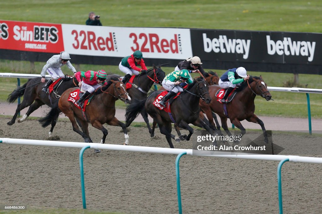 Lingfield Races