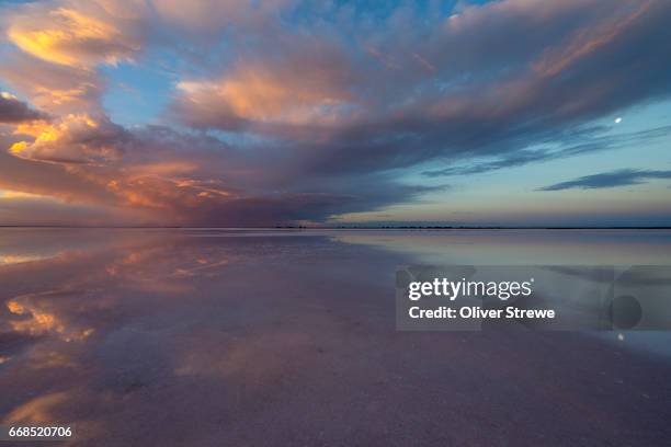 sea lake - lago salgado imagens e fotografias de stock