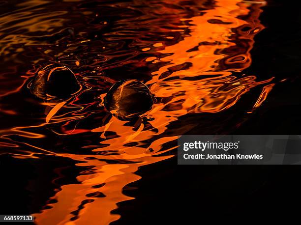 water close-up, vibrant, orange - perception sensorielle photos et images de collection