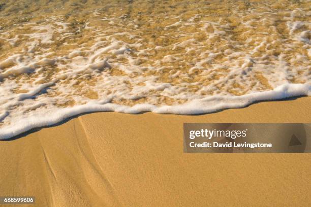 ocean's edge on beach - david levingstone stock pictures, royalty-free photos & images