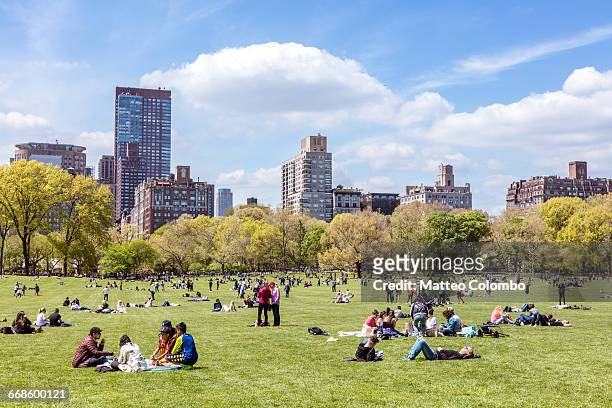 central park in spring with people, new york, usa - soleggiato foto e immagini stock