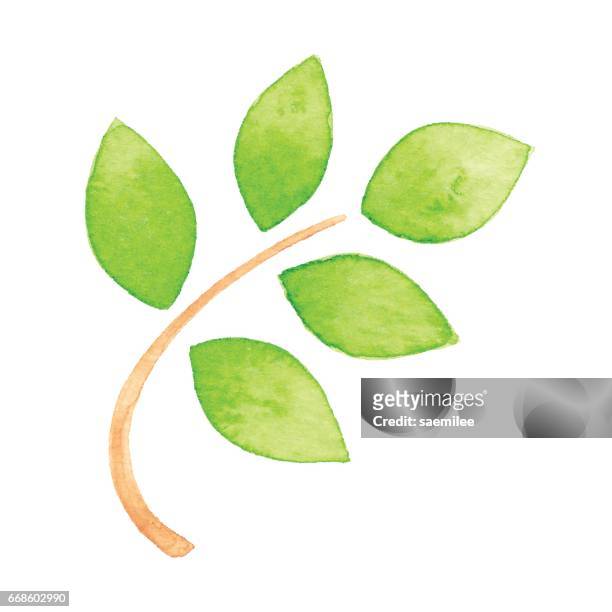 watercolor green branch icon - green leaf logo stock illustrations