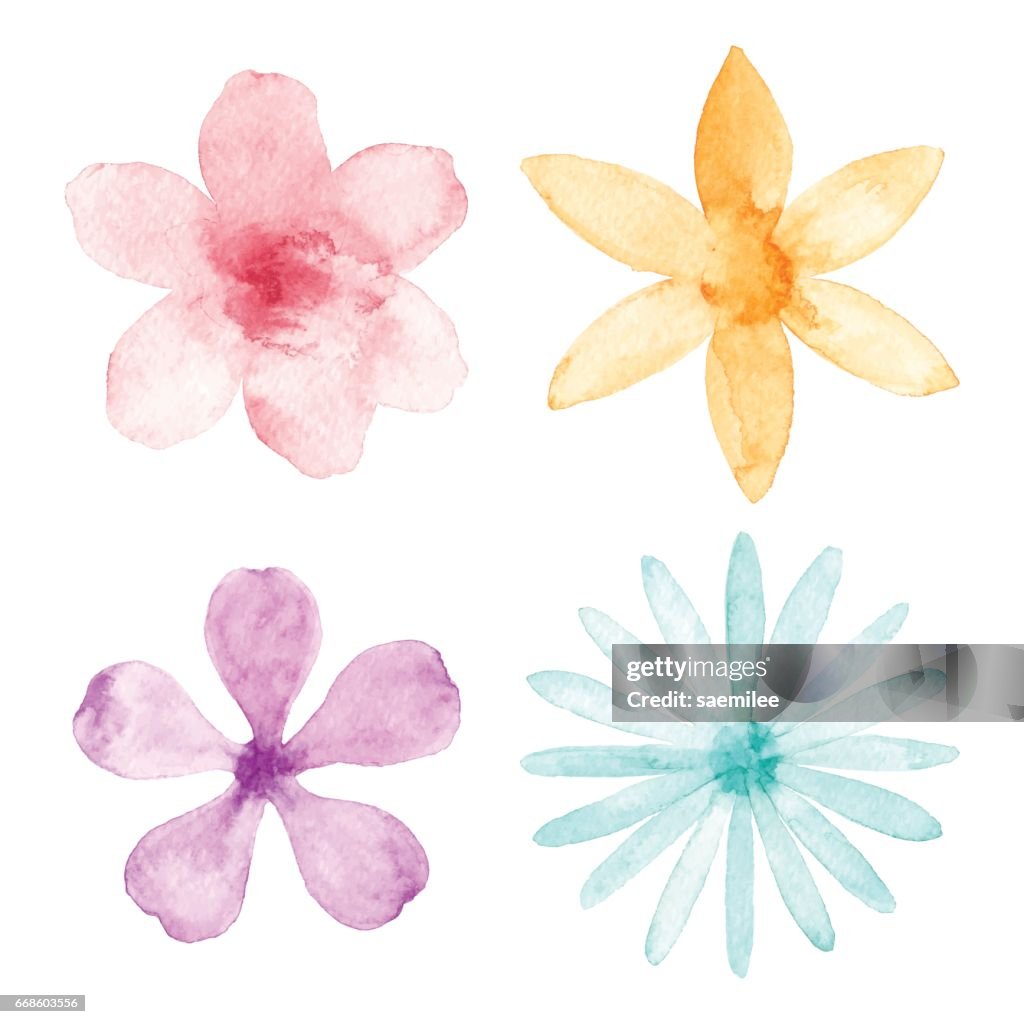 ウォーターカラーの花