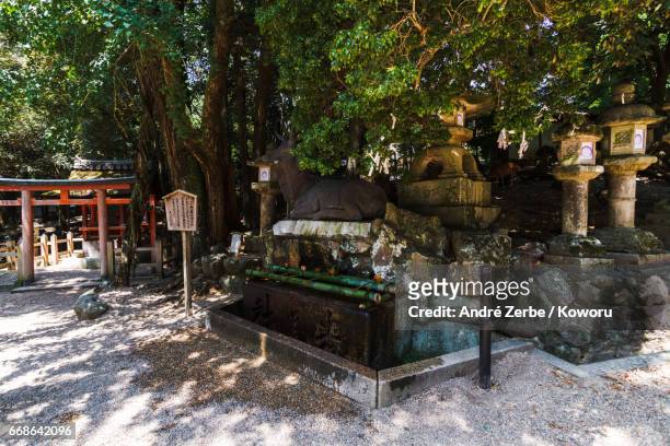 area around famous kasuga taisha, shrine, in japan during summer - schrein ストックフォトと画像